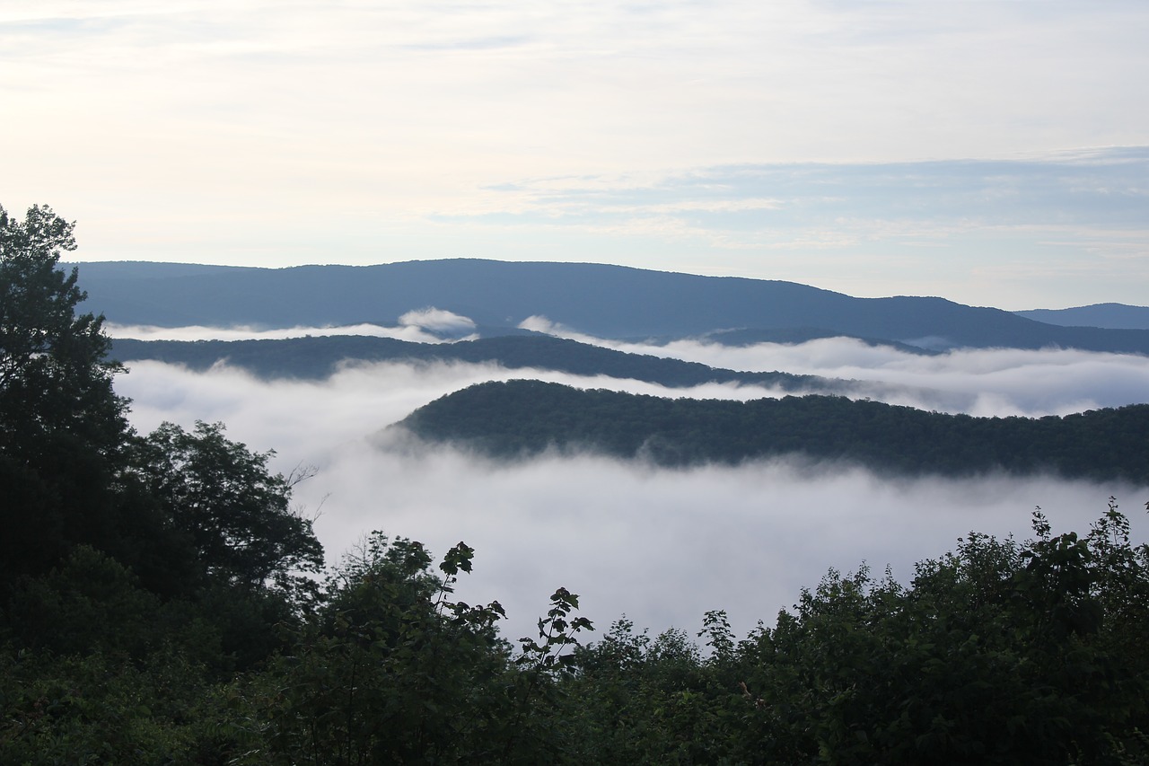 CNote Partners with Natural Capital Investment Fund