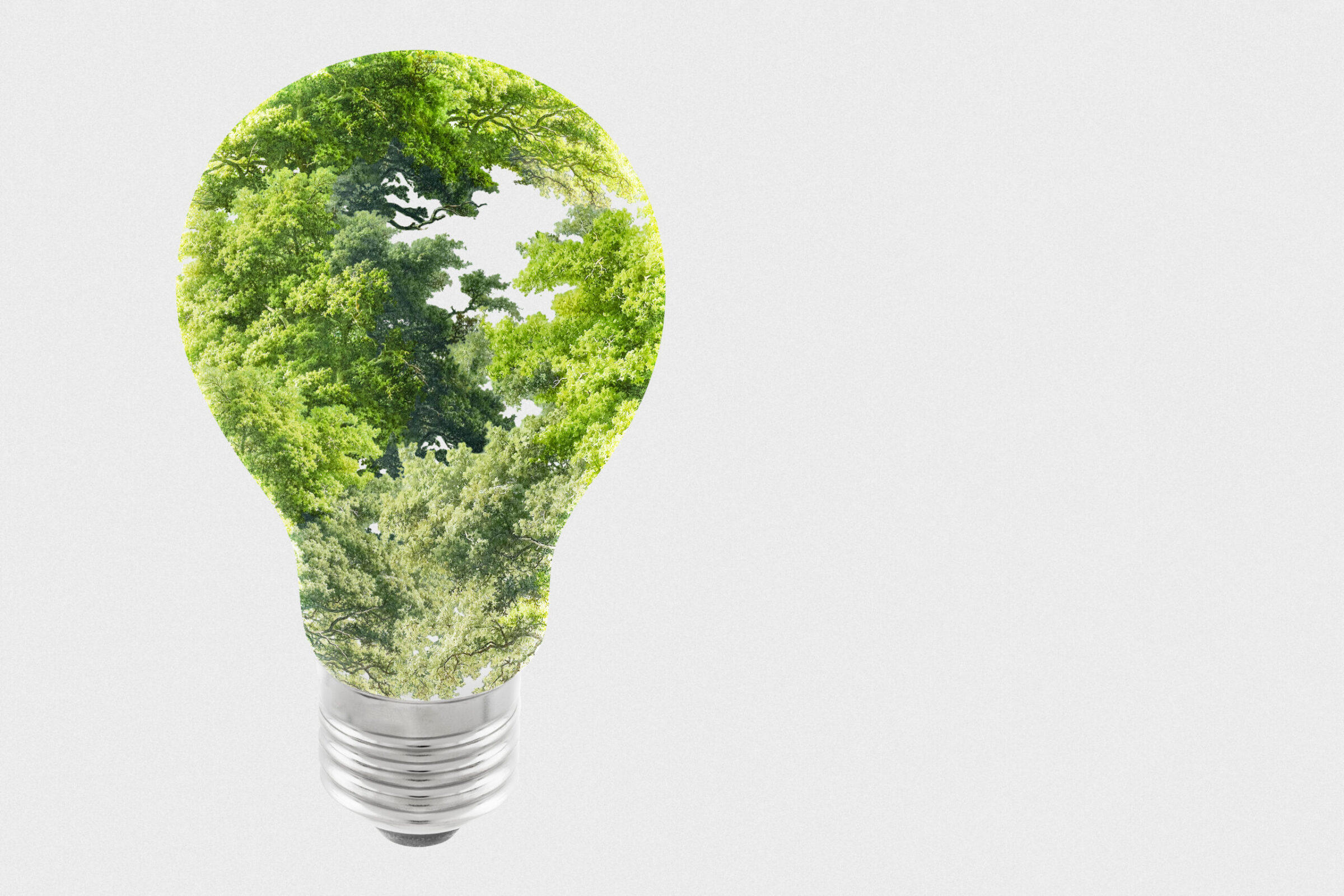 A Bright Future Ahead: Why Impact Investing Matters in 2023