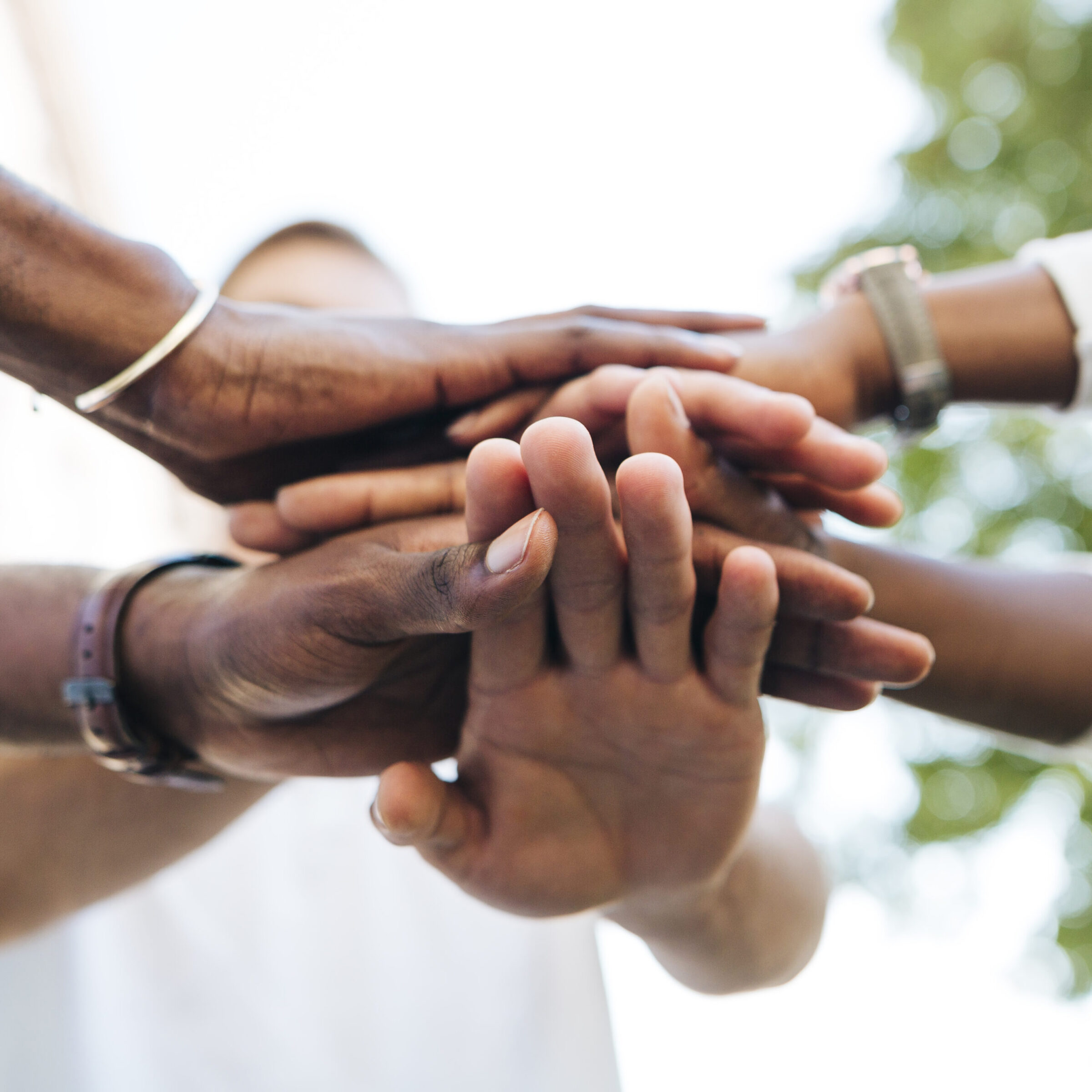 Revolutionizing sustainable growth: Black-led financial institutions unleash potential with capital access and financial resources
