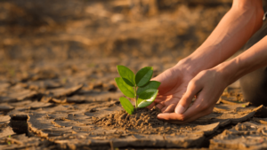 CNote | Sustainable Investing