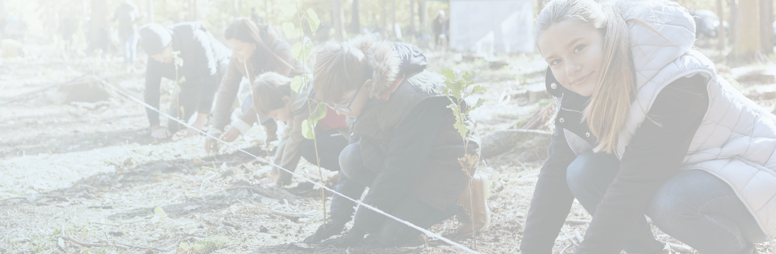 CNote | Climate Cash Page Header
