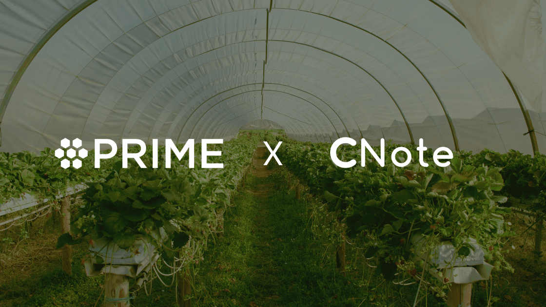 Where Values Meet Finance: Prime Coalition’s Strategic Partnership with CNote in Action