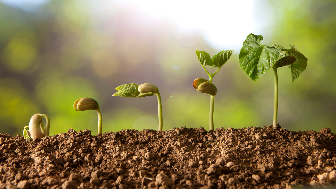 How Community Banks Are Challenging Traditional Banks on Yield — And Why It Matters