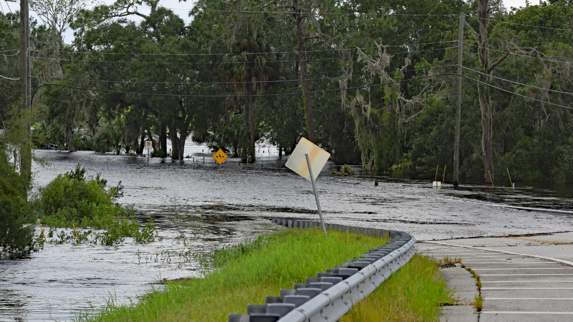 Disaster Recovery in Action: How Locus Bank and Cash Deposits Helped After Hurricane Helene