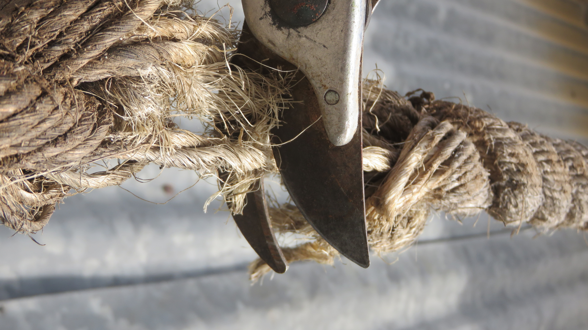 Cutting Through Treasury Complexity in Corporate Cash Management