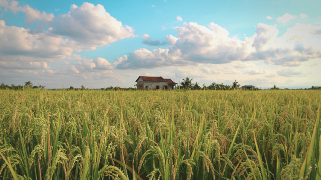 Why Small Mortgages Matter for Rural Families